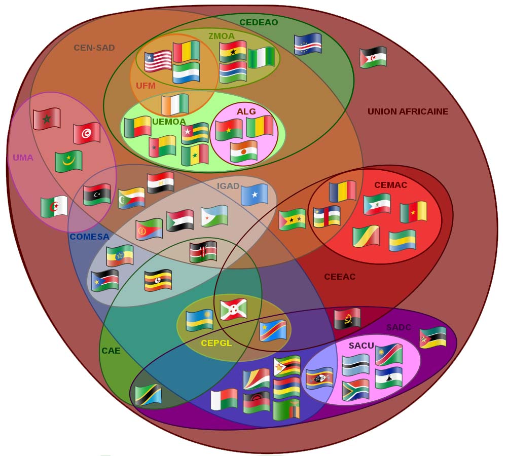 ORGANISATIONS MULTINATIONALES AFRICAINES
